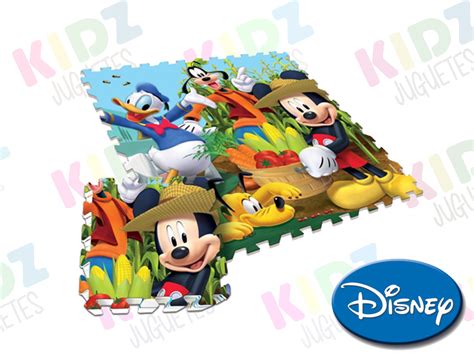 mickey piso wifi